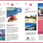 109期 海豚岛